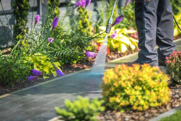 Best Dumpster Area Cleaning  in Cairo, NE